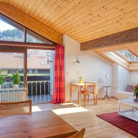 Ruhige Partenkirchen 2 公寓 加爾米施-帕滕基興