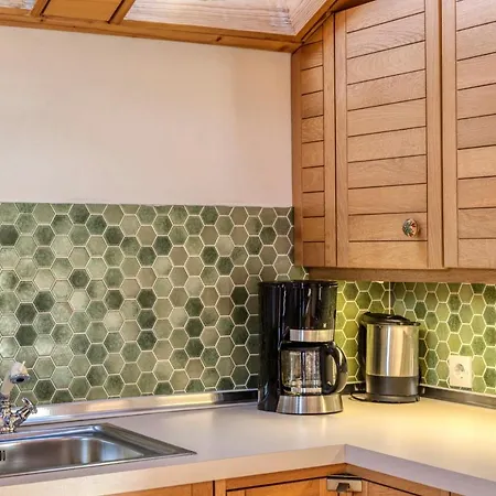 Ruhige Partenkirchen 2 公寓 加爾米施-帕滕基興